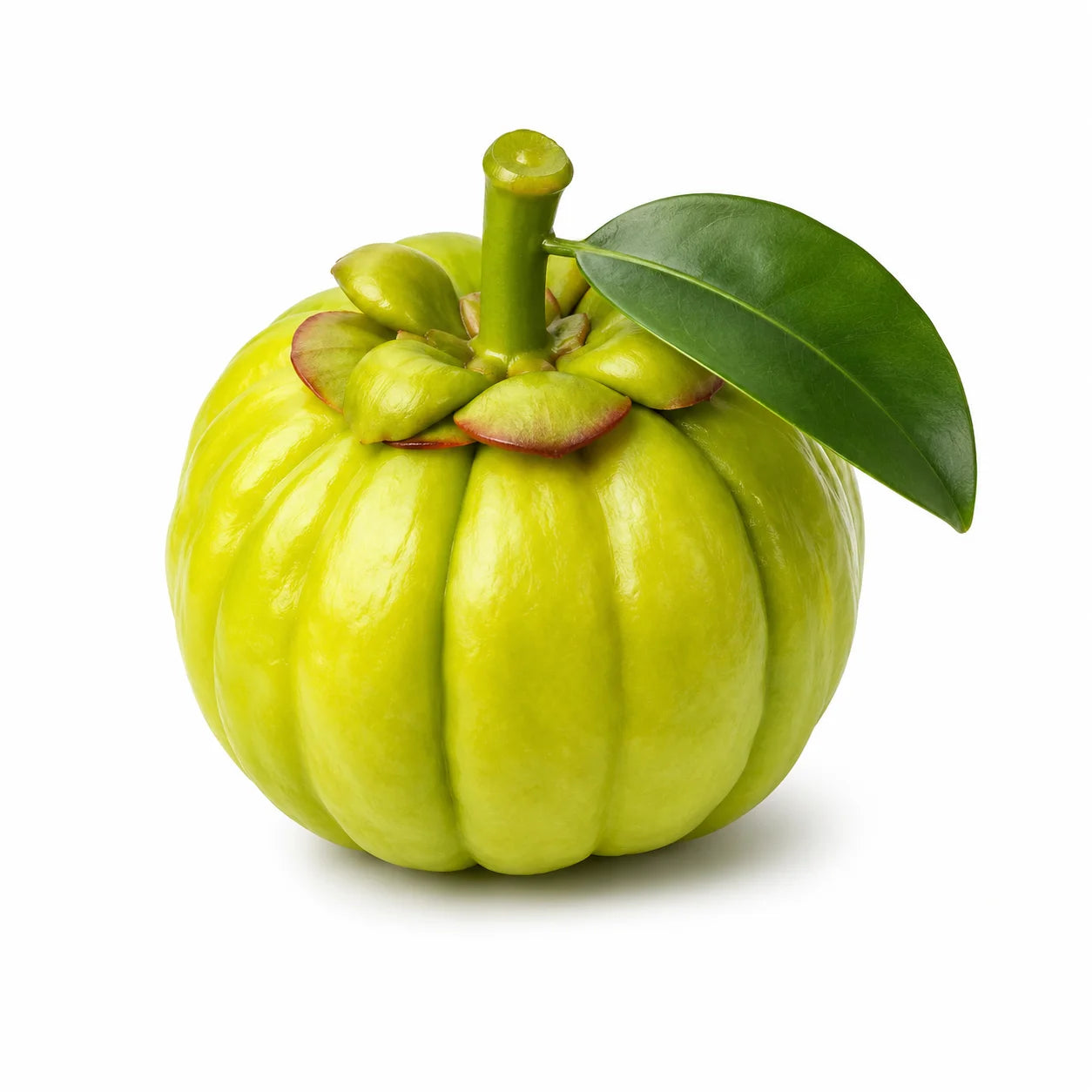 Garcinia Cambogia